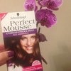 Краска для волос Schwarzkopf Perfect Mousse фото