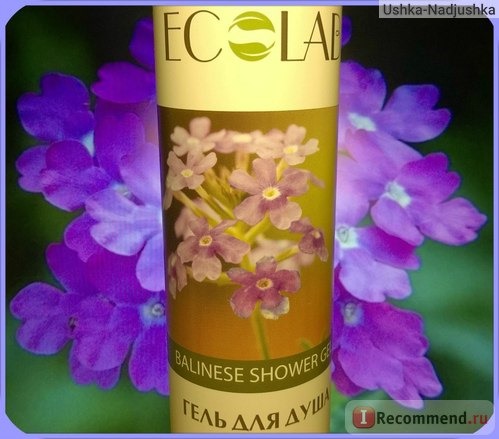 Гель для душа Ecolab Свежесть Balinese Shower Gel фото