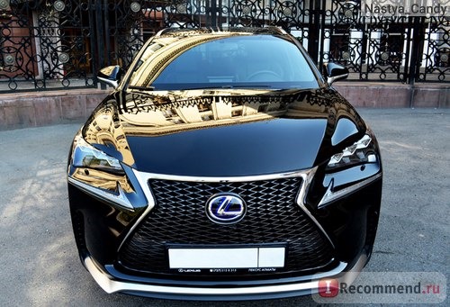 Lexus NX 300 H - 2015 фото