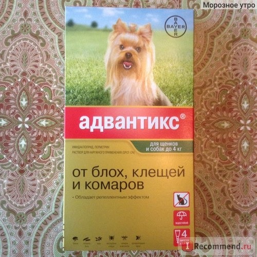 Сухой корм Purina Pro Plan Small & Mini Adult Sensitive Digestion Lamb & Rice / Пурина Про План для взрослых собак мелких и карликовых пород с чувствительным Пищеварением Ягнёнок с рисом фото