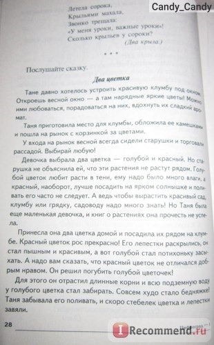 Путешествие в Цифроград: Первая математическая сказка. Татьяна Шорыгина фото