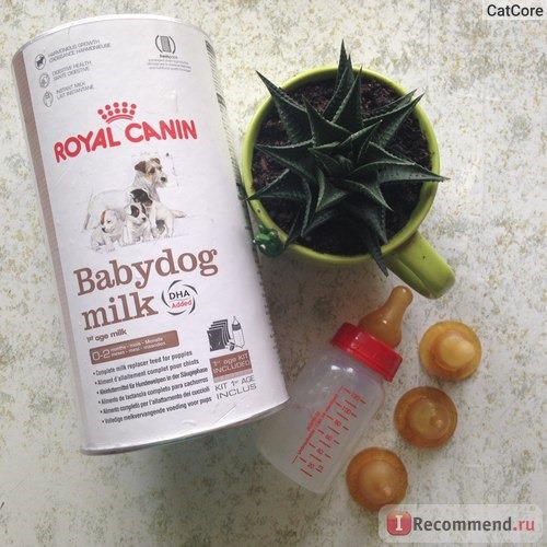 Royal Canin Babydog milk фото