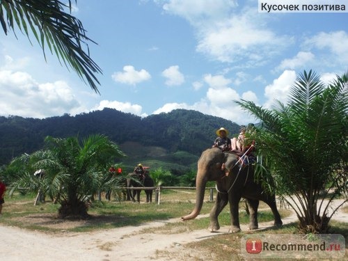 Phuket Cheap Tour фото