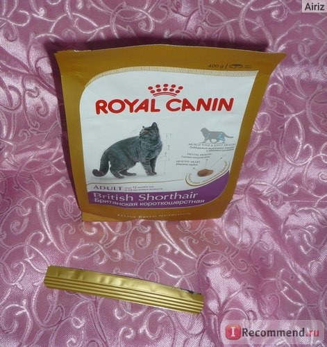 Royal Canin для Британцев фото