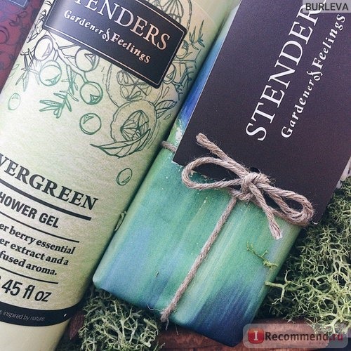 Гель для душа STENDERS Evergreen фото