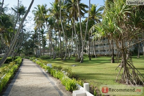 Vista Sol Punta Cana 4*, Доминиканская республика, Пунта Кана фото