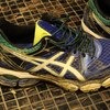 Кроссовки для бега ASICS GEL-PULSE 6 фото