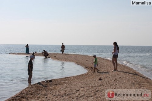 Коса Долгая в 2016 году. От косы остался завиток.