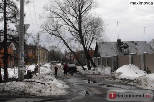 в Павловске