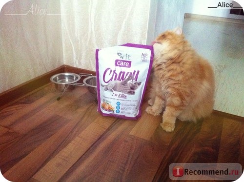 ?? Brit Care Cat Crazy с курицей и рисом для котят. ??