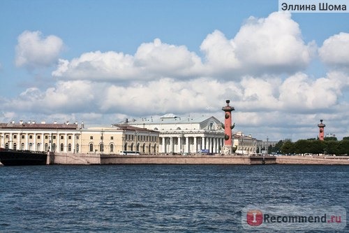 Зоологический музей, Санкт-Петербург фото