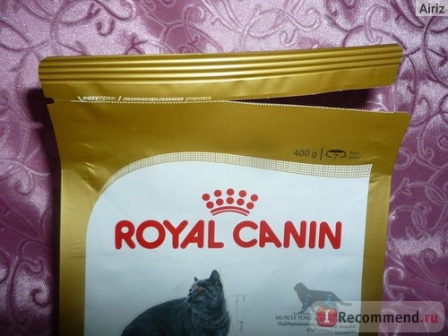 Royal Canin для Британцев фото