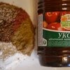 Уксусная диета (Яблочный уксус) фото