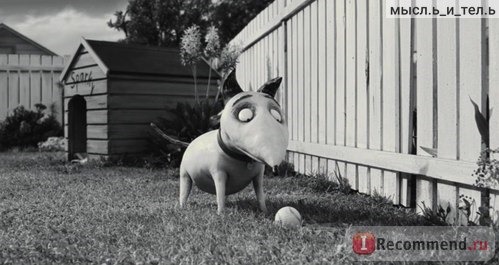 Франкенвини / Frankenweenie фото