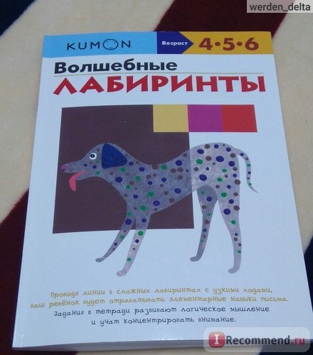 Волшебные лабиринты. Тору Кумон Kumon фото