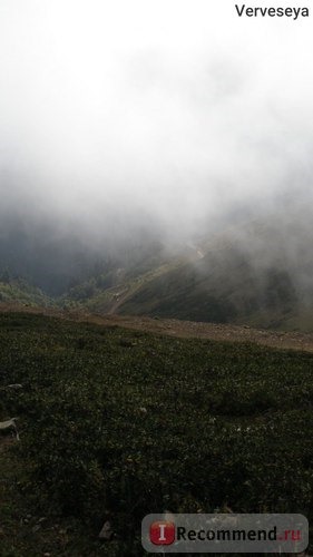 Роза Хутор, Олимпийская деревня, Сочи фото