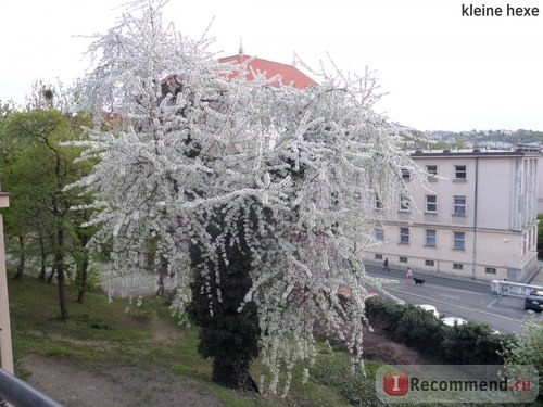 Прага прекрасна в любое время года