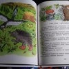 Книга сказок В. Сутеева фото