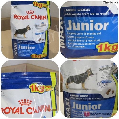 Корм для собак Royal Canin Maxi Junior фото