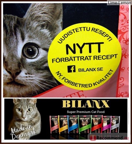 Корм для кошек Best Friend Bilanx Active Complete rich in Salmon фото