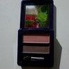 Тени для век Oriflame The ONE Colour Match Duo фото