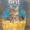 Brit Premium Cat Adult Salmon