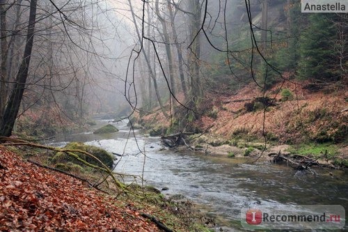 Национальный парк Чешская Швейцария. 