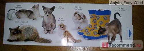 МЯУ. Мэтью Ван Флит фото