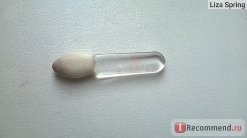 Спонжик