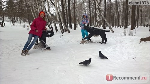 Россия, Башкортостан, санаторий Юбилейный фото