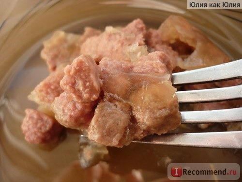 Консервированный корм для кошек в пакетиках 