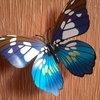 Бабочки на магнитах Butterfly Sticker 3D Art Design фото