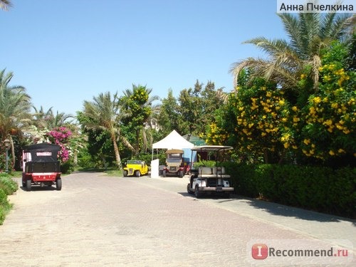 Dessole Pyramisa Sahl Hasheesh 5*, Египет, Хургада фото