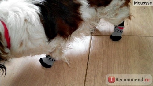 Одежда для собак Miniinthebox My Dear Dog Anti-Skid Socks for Dogs (S-L, Assorted Colors) фото