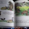 Книга сказок В. Сутеева фото