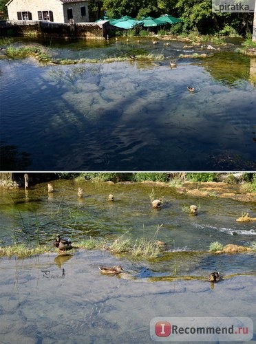 Национальный парк Крка, Хорватия. Каждый водоем полон рыбы