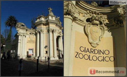 Зоопарк в Риме. Bioparco di Roma фото