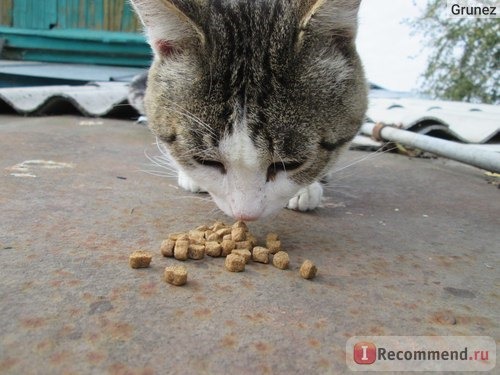 Корм для кошек Timely Курица фото