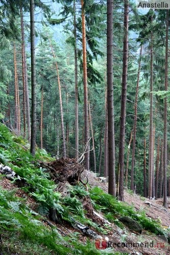 Национальный парк Чешская Швейцария. 