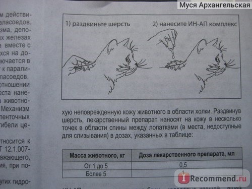 Противопаразитарные средства Астрафарм ИН-АП Комплекс для кошек фото