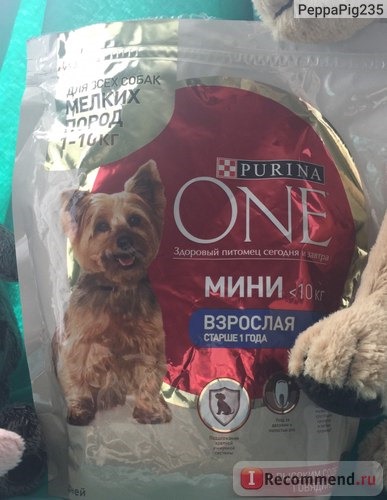 Корм для собак Purina ONE® Моя Собака уже взрослая. Для маленьких собак от 1-10 кг. фото