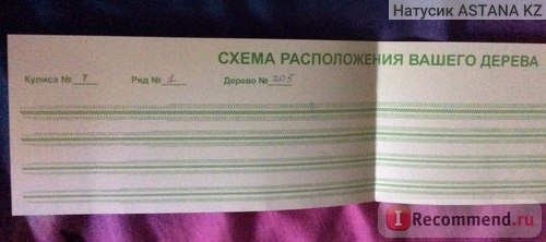 в первом ряду посередине