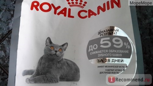 Корм для кошек Royal Canin Oral Care фото