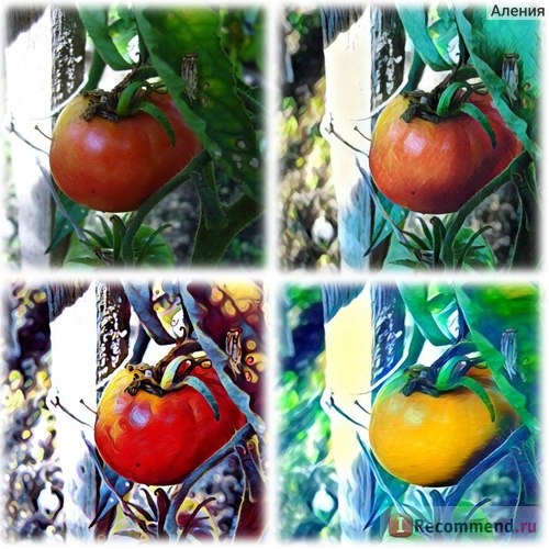 Мобильное приложение Prisma фото