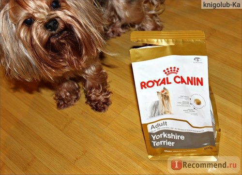 Корм для собак Royal Canin Adult Йоркширский терьер от 10 месяцев фото