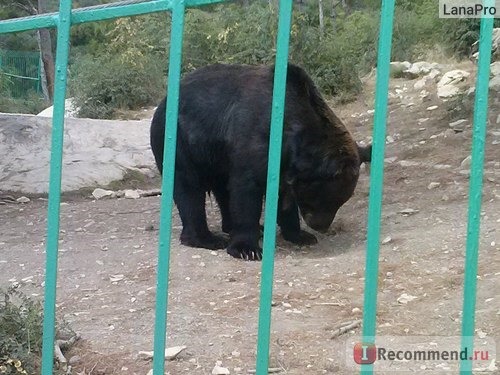 Россия, Геленджик фото