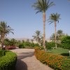 Hilton Nuweiba Coral Resort 4* 4*, Египет, Нувейба фото