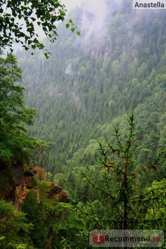 Национальный парк Чешская Швейцария. 