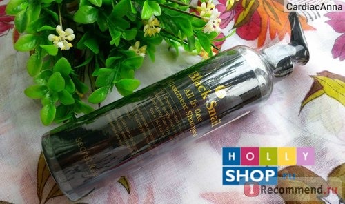 Сайт Интернет-магазин корейской косметики Hollyshop.ru фото