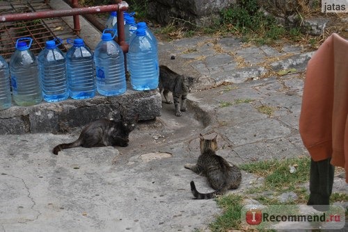 Черногория. Котор фото